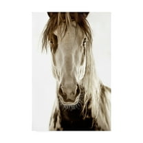 Trademark Fine Art 'Wilbur Cruz' Canvas Art by Lisa Dearin