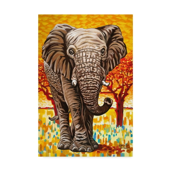 Trademark Fine Art 'Wild Africa I' Canvas Art by Carolee Vitaletti