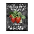 thumbnail image 1 of Trademark Fine Art 'Wild Berry Fields' Canvas Art by Art Licensing Studio, 1 of 3
