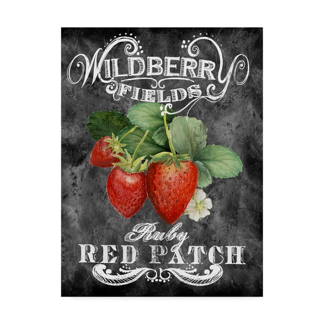 Trademark Fine Art 'Wild Berry Fields' Canvas Art by Art Licensing Studio