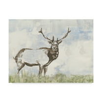 Trademark Fine Art 'Wild Call II' Canvas Art by Jennifer Goldberger