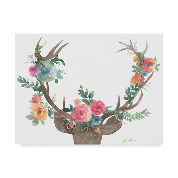 Trademark Fine Art 'Wild Child Deer' Canvas Art by Marietta Cohen Art And Design