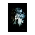 thumbnail image 1 of Trademark Fine Art 'Wild Explosion Collection - The Elephant II' Canvas Art by Philippe Hugonnard, 1 of 3