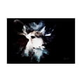 thumbnail image 1 of Trademark Fine Art 'Wild Explosion Collection - The Impala II' Canvas Art by Philippe Hugonnard, 1 of 3