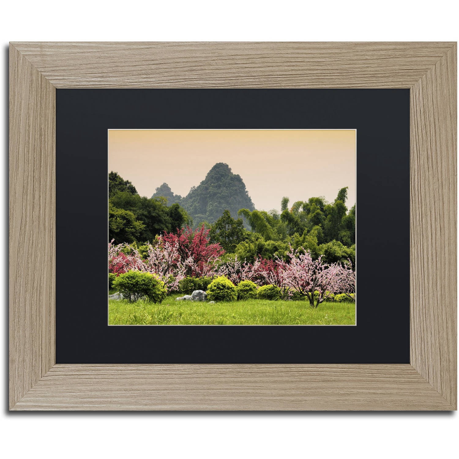 Trademark Fine Art "Wild Flowers" Canvas Art by Philippe Hugonnard, Black Matte, Birch Frame