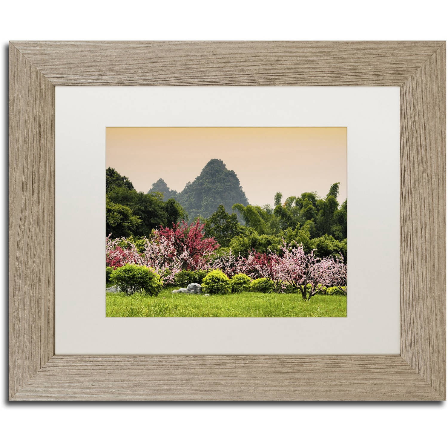 Trademark Fine Art "Wild Flowers" Canvas Art by Philippe Hugonnard, White Matte, Birch Frame