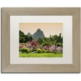 thumbnail image 1 of Trademark Fine Art "Wild Flowers" Canvas Art by Philippe Hugonnard, White Matte, Birch Frame, 1 of 3