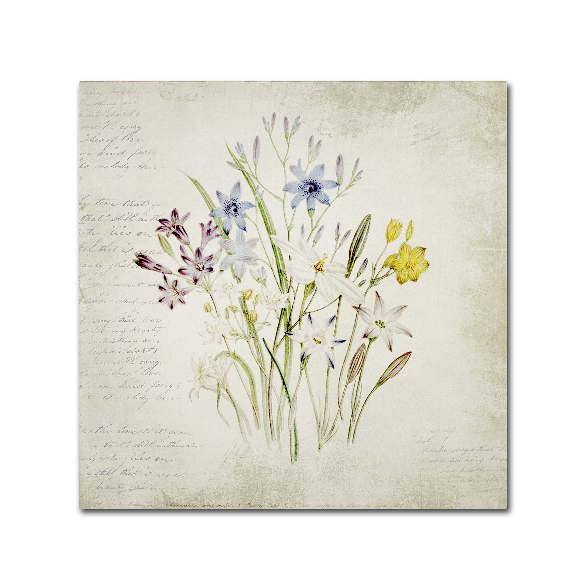 Trademark Fine Art 'Wild Flowers Three' Canvas Art by Marcee Duggar