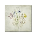 thumbnail image 1 of Trademark Fine Art 'Wild Flowers Three' Canvas Art by Marcee Duggar, 1 of 3