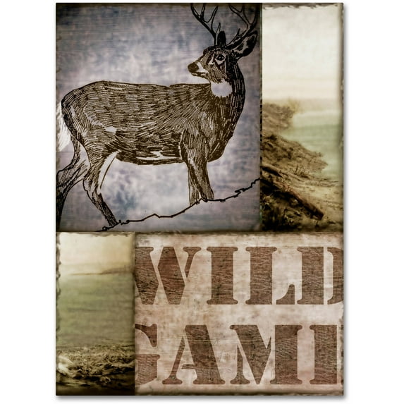 Trademark Fine Art "Wild Game" Canvas Art by Color Bakery