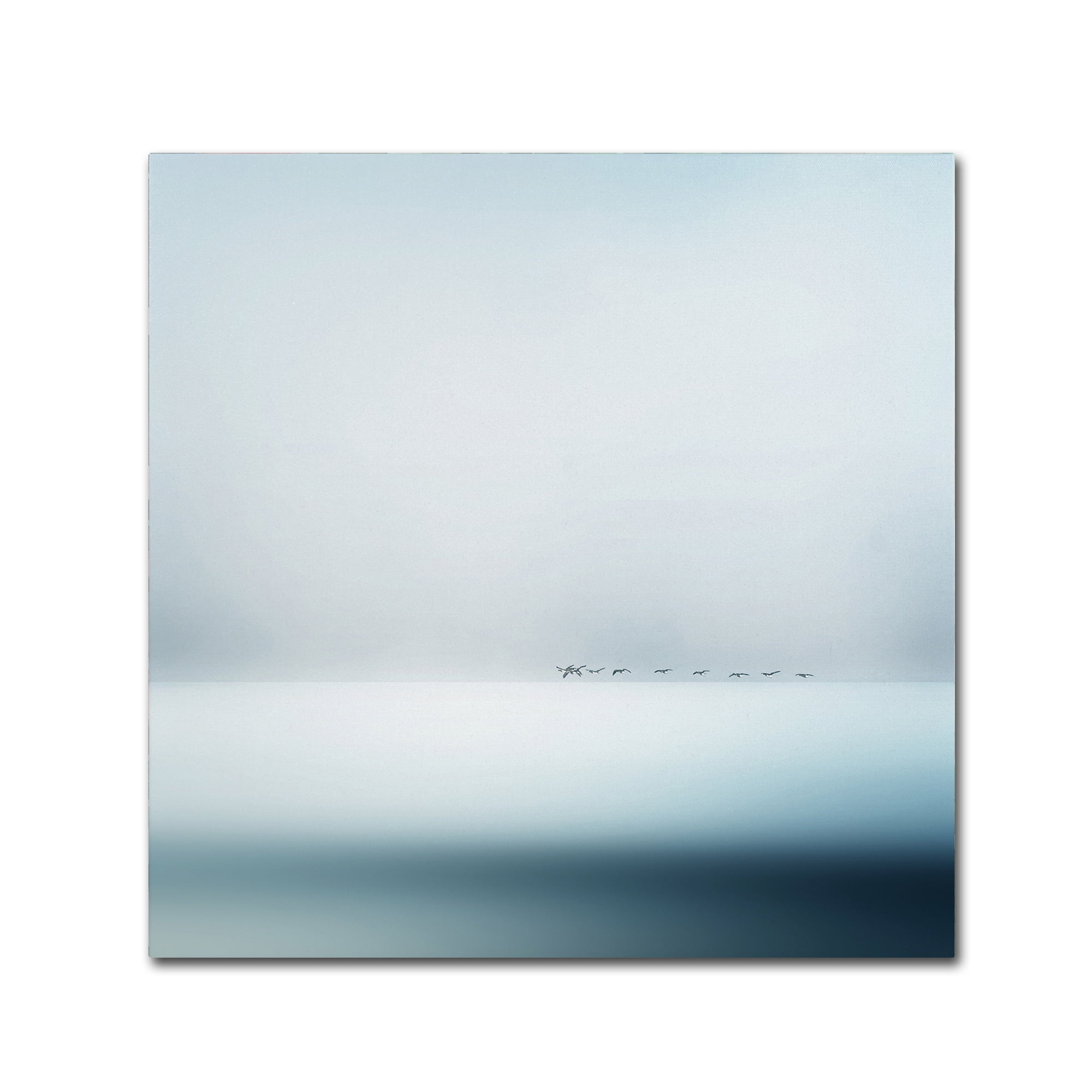 Trademark Fine Art 'Wild Geese' Canvas Art by Piet Flour
