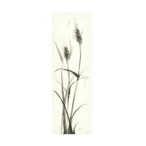 Trademark Fine Art "Wild Grass I" Canvas Art by Chris Paschke