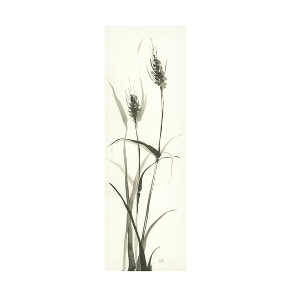 Trademark Fine Art "Wild Grass I" Canvas Art by Chris Paschke