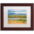 thumbnail image 1 of Trademark Fine Art 'Wild Horses' Canvas Art by Philippe Sainte-Laudy, White Matte, Wood Frame, 1 of 4