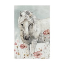 Trademark Fine Art 'Wild Horses II Crop' Canvas Art by Lisa Audit