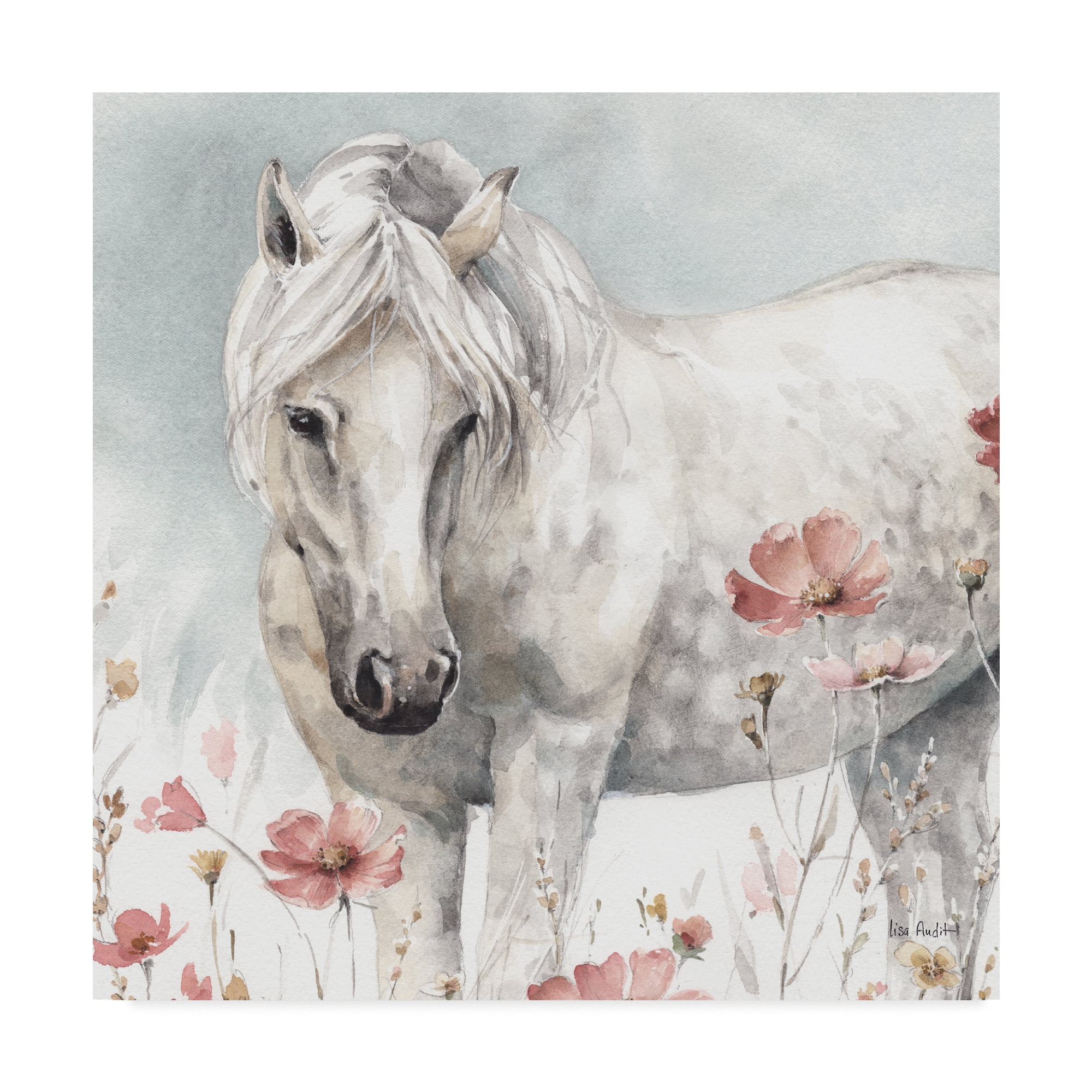 Trademark Fine Art 'Wild Horses V' Canvas Art by Lisa Audit
