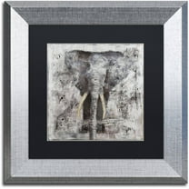 Trademark Fine Art "Wild Life" Canvas Art by Joarez, Black Matte, Silver Frame