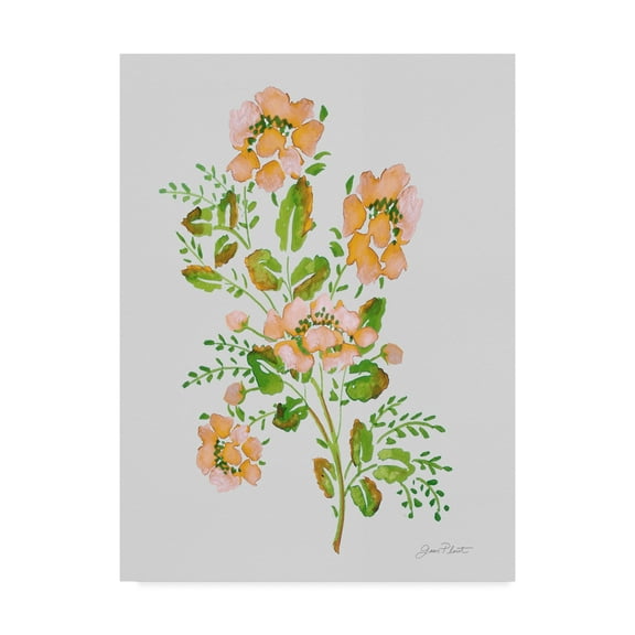 Trademark Fine Art 'Wild Rose Peach 2' Canvas Art by Jean Plout