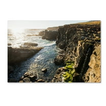 Trademark Fine Art 'Wild Sonoma Coast' Canvas Art by Lance Kuehne