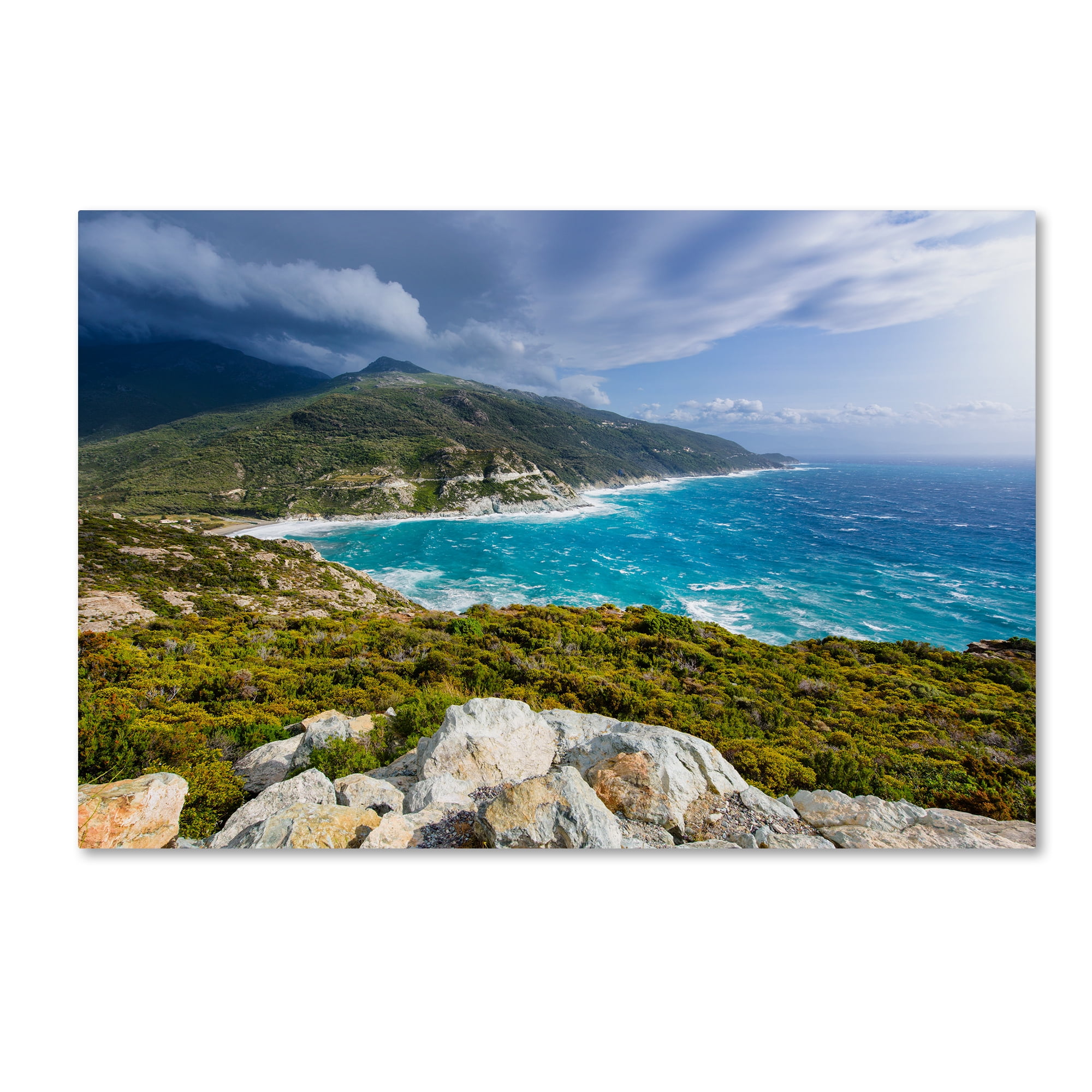 Trademark Fine Art 'Wilder' Canvas Art by Philippe Sainte-Laudy