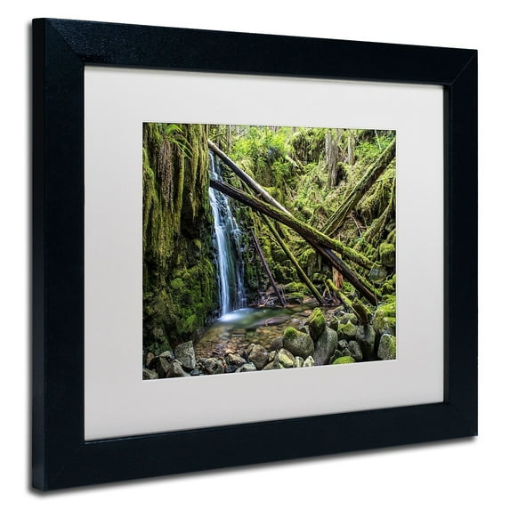 Trademark Fine Art "Wilderness" Canvas Art by Pierre Leclerc, White Matte/Black Frame