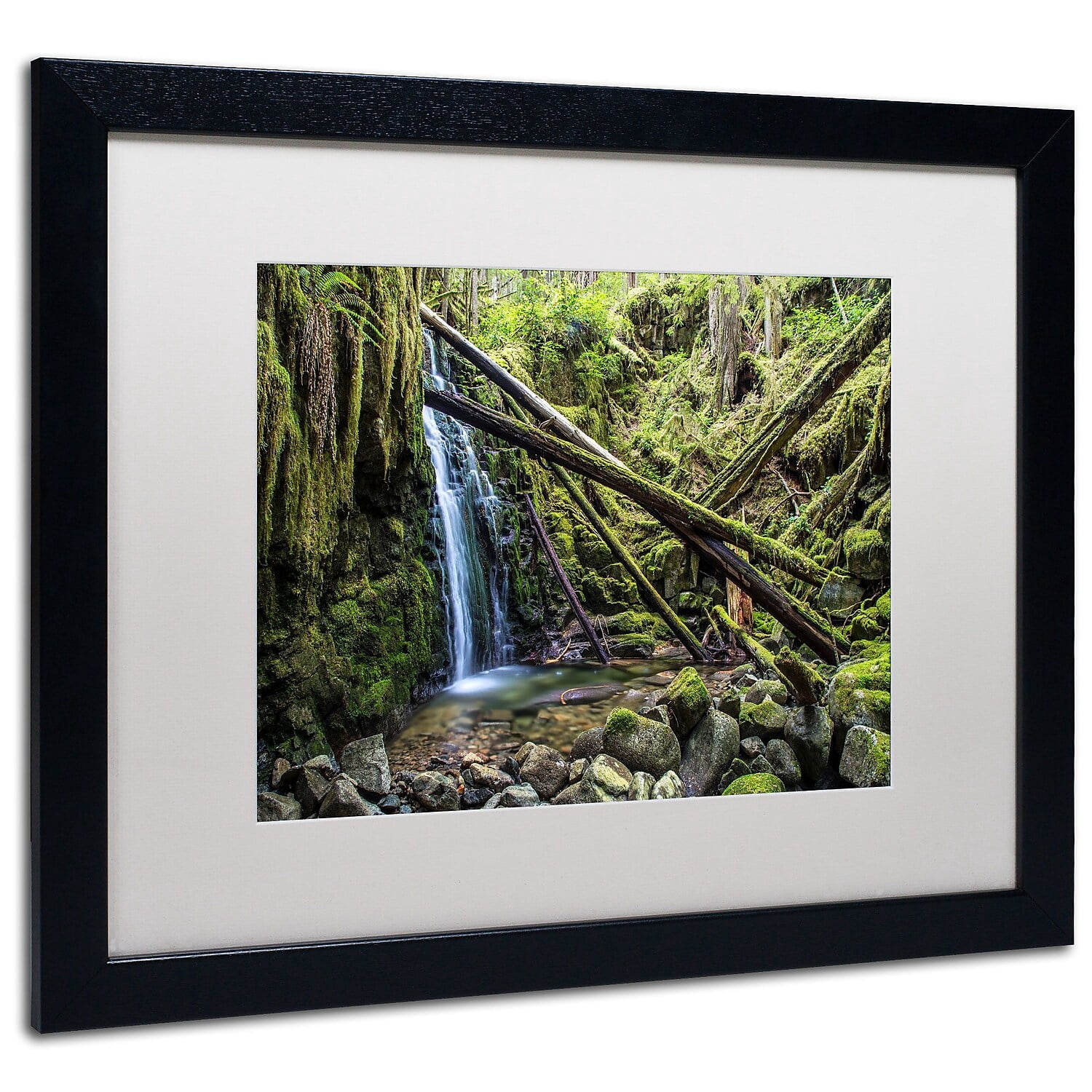 Trademark Fine Art "Wilderness" Canvas Art by Pierre Leclerc, White Matte/Black Frame