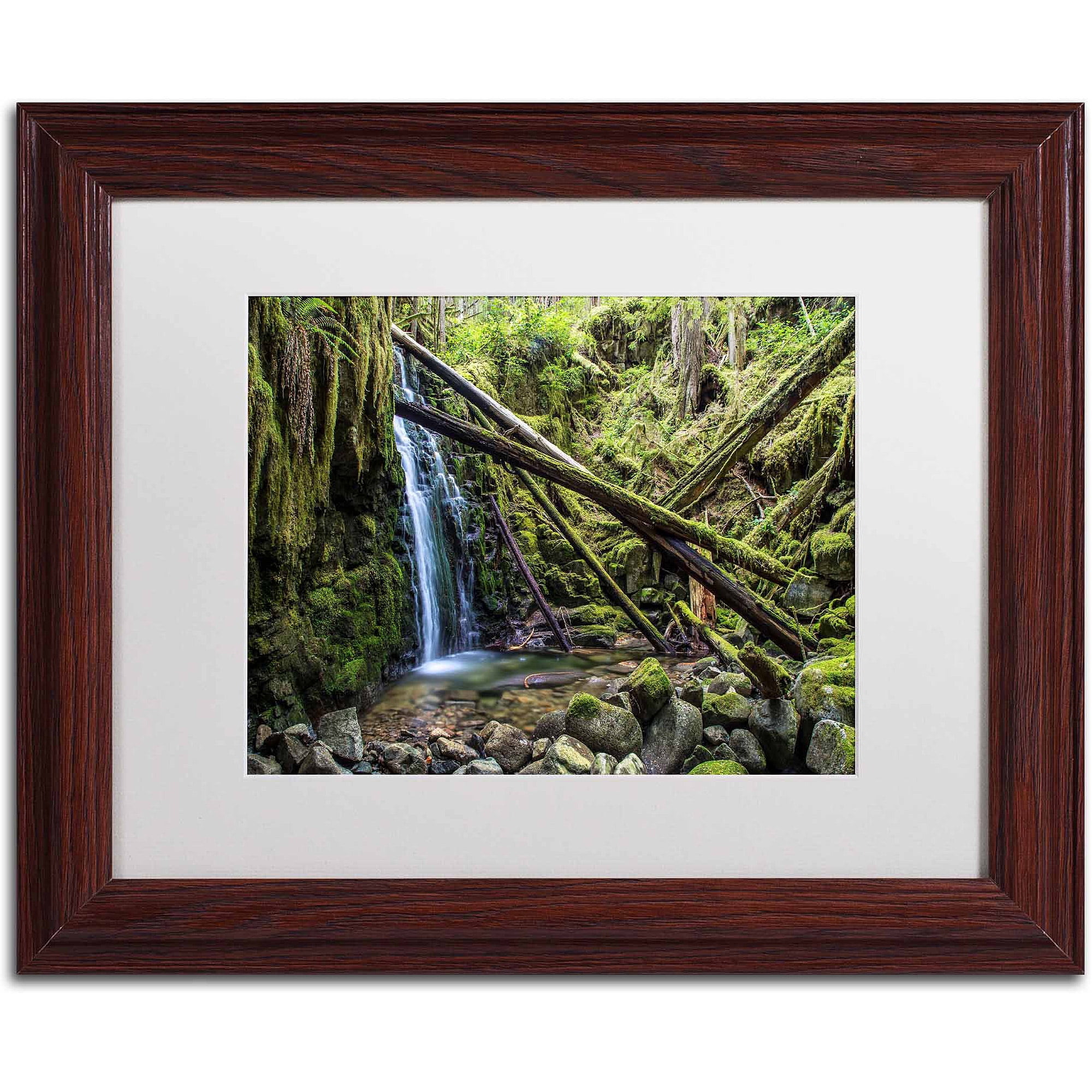 Trademark Fine Art "Wilderness" Canvas Art by Pierre Leclerc, White Matte/Wood Frame