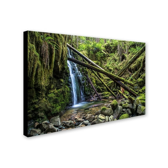 Trademark Fine Art "Wilderness" Canvas Art by Pierre Leclerc