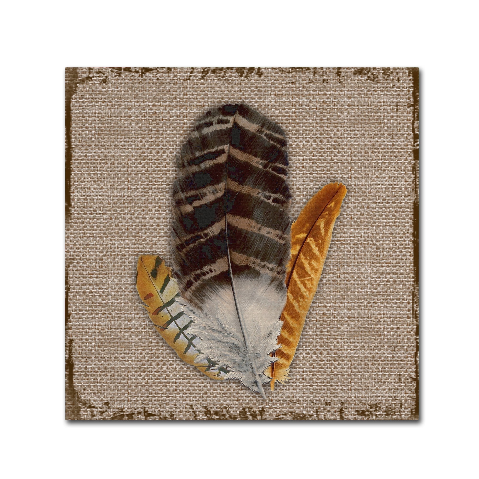 Trademark Fine Art 'Wilderness Lodge 11' Canvas Art by Jean Plout