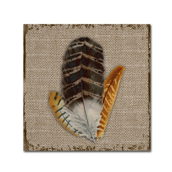 Trademark Fine Art 'Wilderness Lodge 11' Canvas Art by Jean Plout