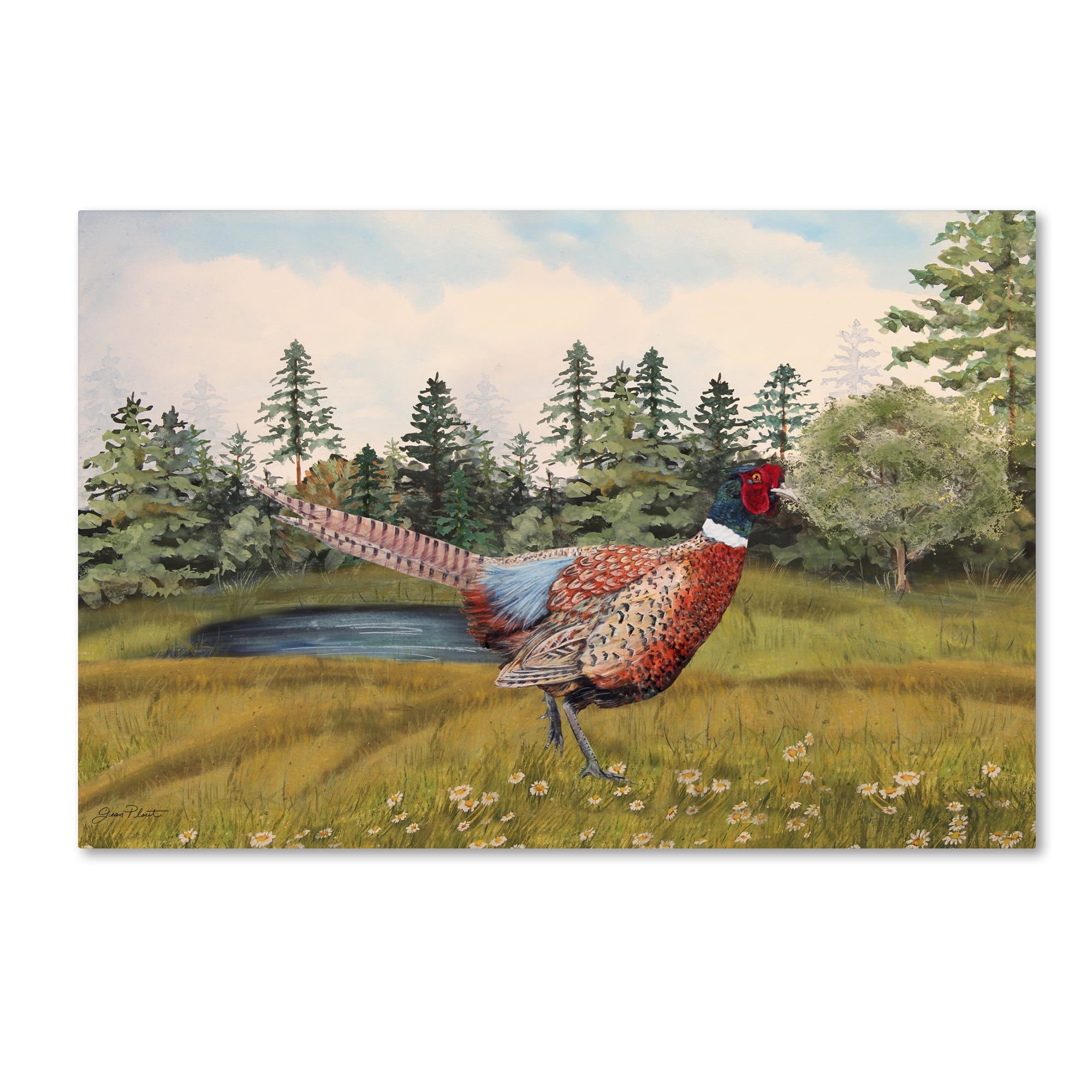 Trademark Fine Art 'Wilderness Lodge 15' Canvas Art by Jean Plout