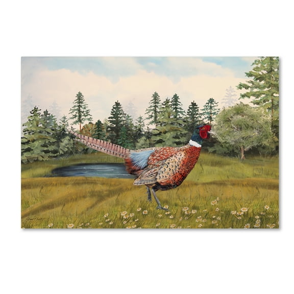 Trademark Fine Art 'Wilderness Lodge 15' Canvas Art by Jean Plout