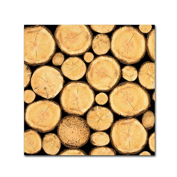 Trademark Fine Art 'Wilderness Lodge H' Canvas Art by Jean Plout