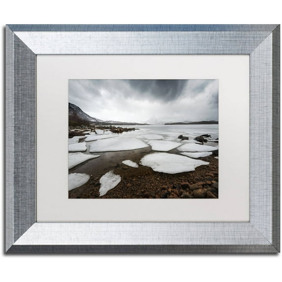 Trademark Fine Art "Wildest Dreams" Canvas Art by Philippe Sainte-Laudy, White Matte, Silver Frame