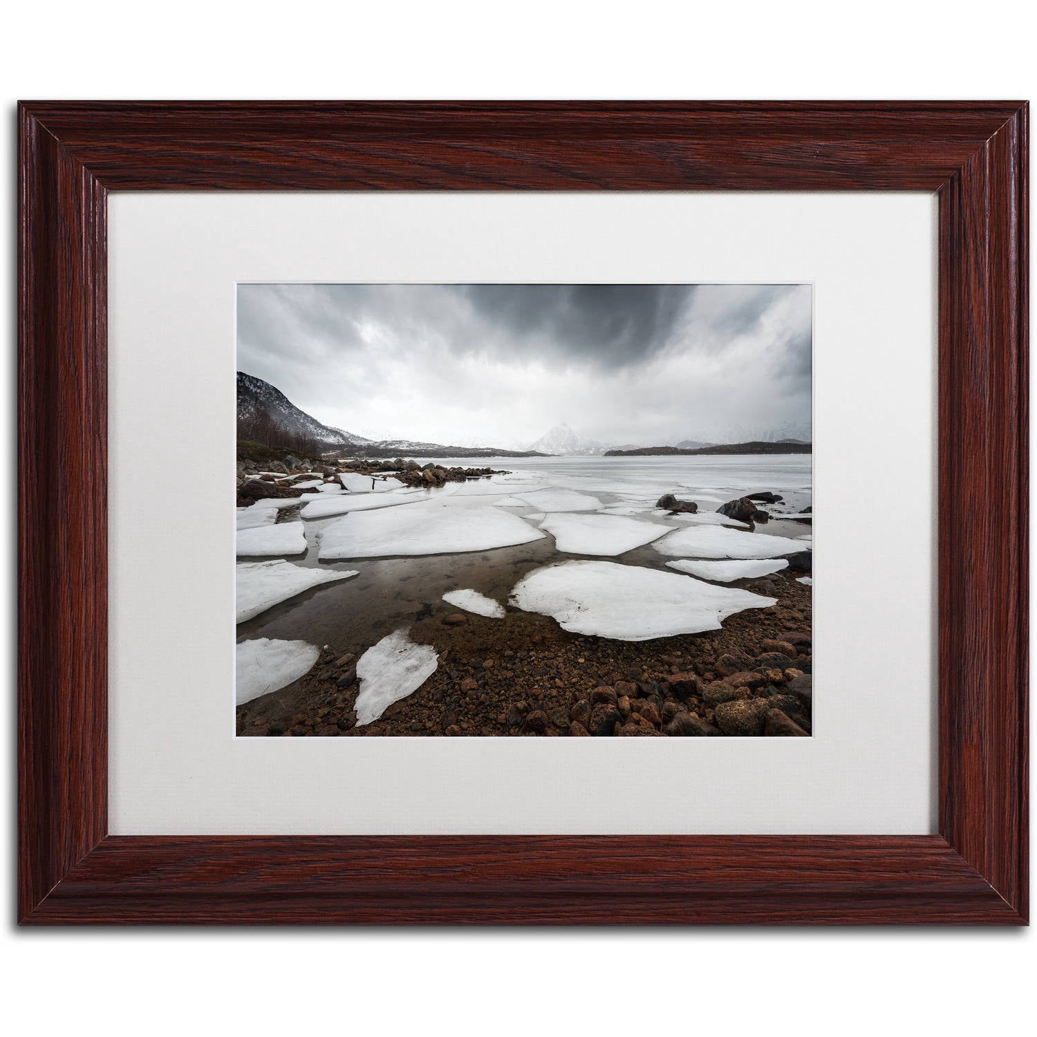 Trademark Fine Art "Wildest Dreams" Canvas Art by Philippe Sainte-Laudy, White Matte, Wood Frame