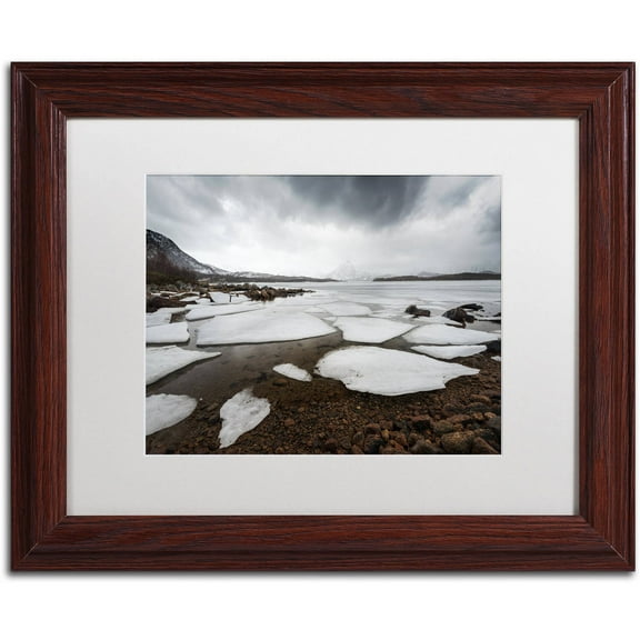 Trademark Fine Art "Wildest Dreams" Canvas Art by Philippe Sainte-Laudy, White Matte, Wood Frame