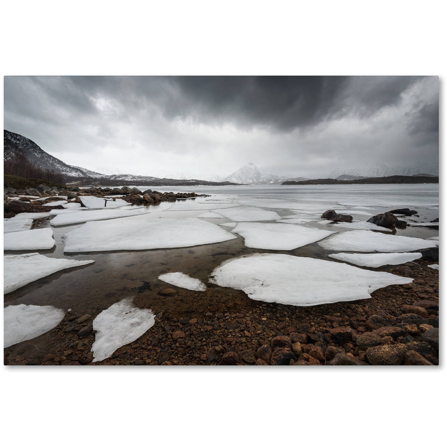 Trademark Fine Art "Wildest Dreams" Canvas Art by Philippe Sainte-Laudy