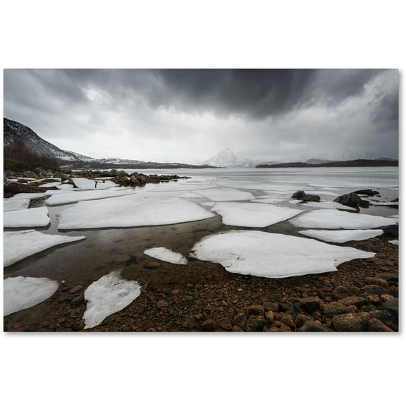 Trademark Fine Art "Wildest Dreams" Canvas Art by Philippe Sainte-Laudy