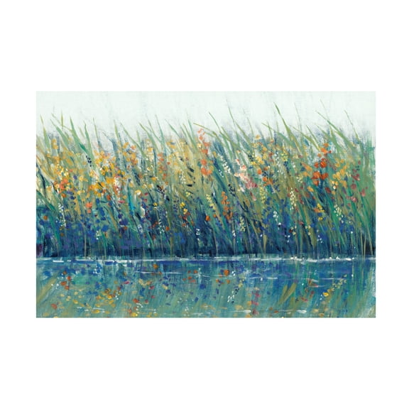 Trademark Fine Art Tim OToole Wildflower Reflection I Canvas Wall Art - 12x19