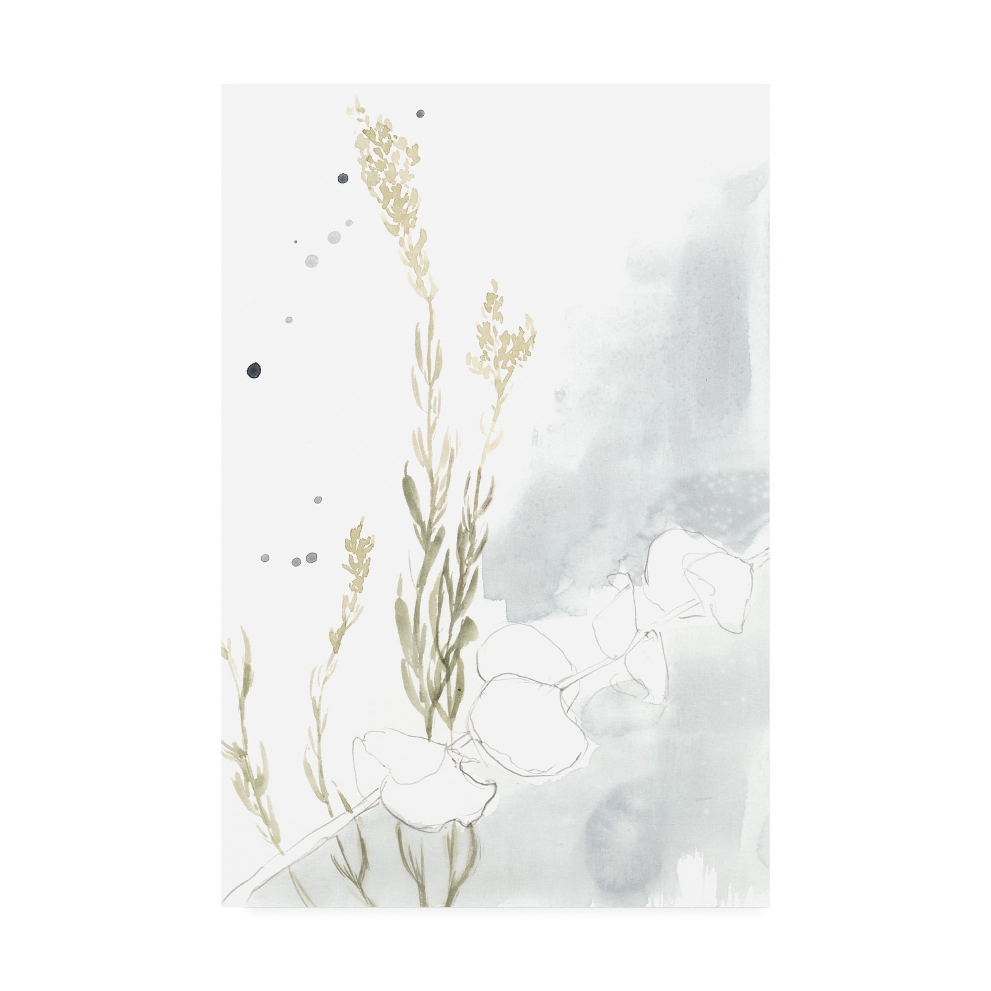 Trademark Fine Art 'Wildflower Triptych II' Canvas Art by Jennifer Goldberger