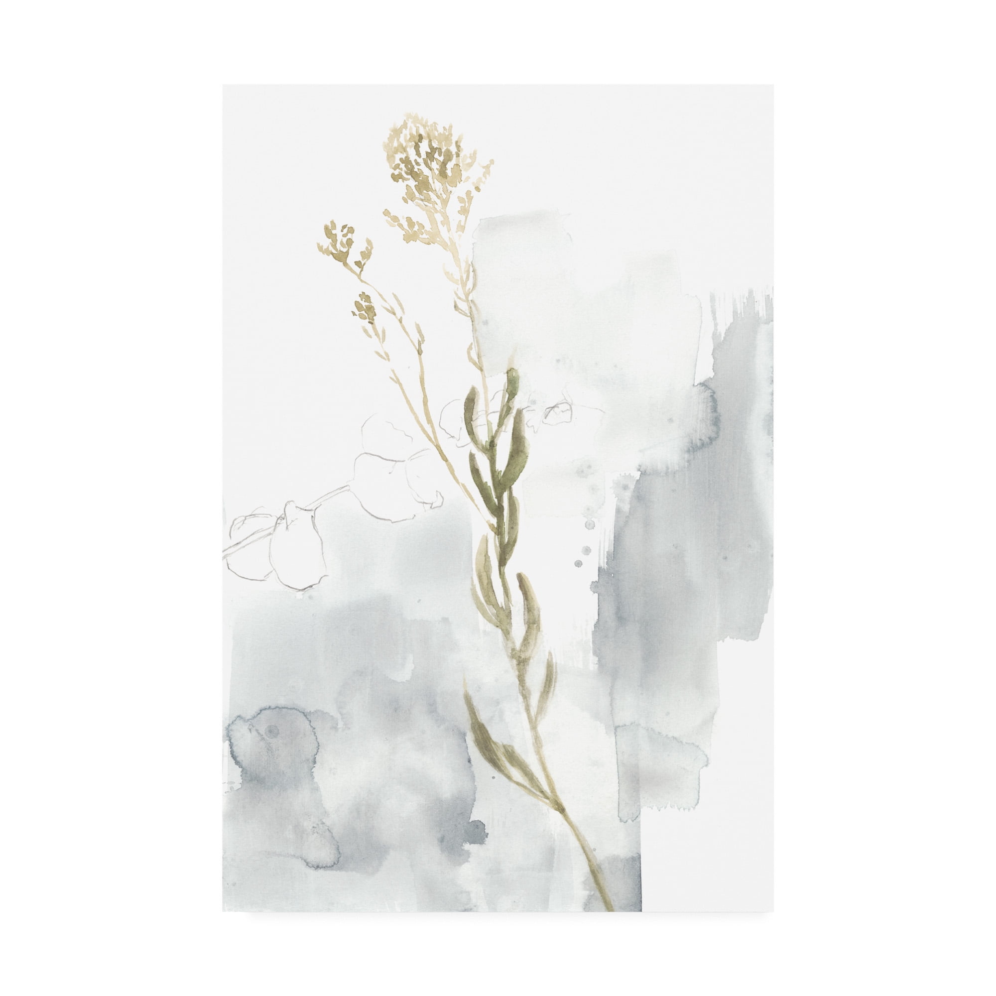 Trademark Fine Art 'Wildflower Triptych III' Canvas Art by Jennifer Goldberger