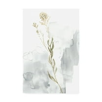 Trademark Fine Art 'Wildflower Triptych III' Canvas Art by Jennifer Goldberger