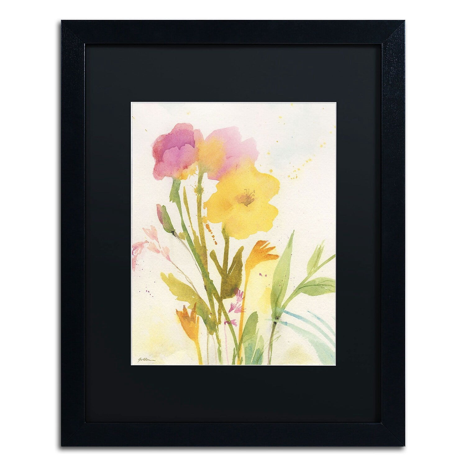 Trademark Fine Art Wildflowers Against the Sky by Sheila Golden 20x16 FRM Art BLK MTD