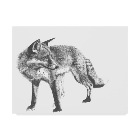 Trademark Fine Art 'Wildlife Snapshot: Fox' Canvas Art by Naomi McCavitt