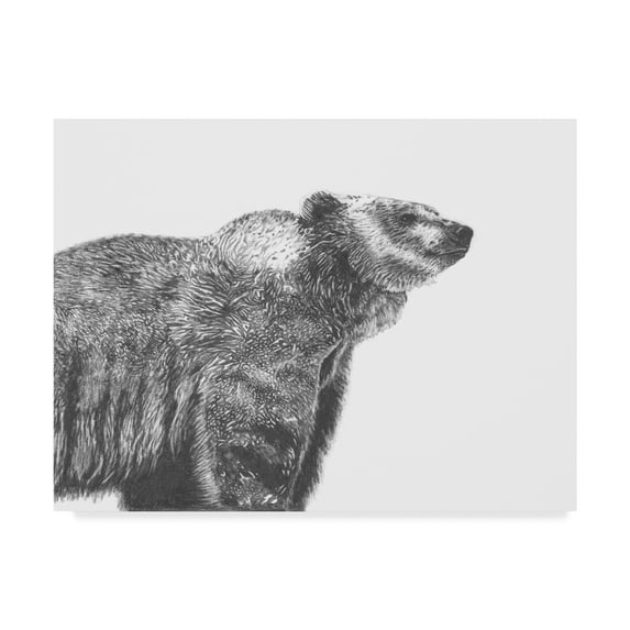 Trademark Fine Art 'Wildlife Snapshot: Grizzly' Canvas Art by Naomi McCavitt