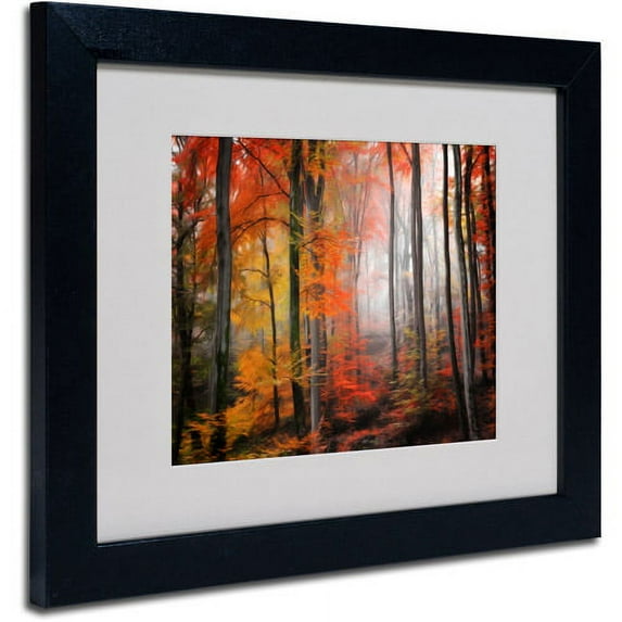 Trademark Fine Art "Wildly Red" Canvas Art by Philippe Sainte-Laudy, Black Frame
