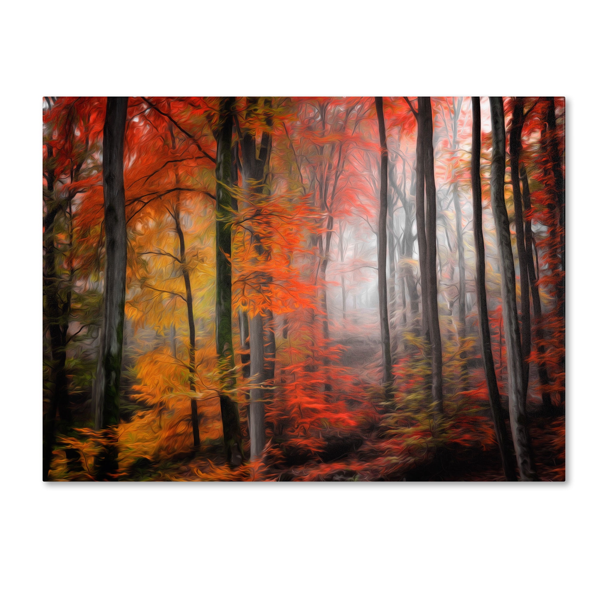 Trademark Fine Art "Wildly Red" Canvas Art by Philippe Sainte-Laudy