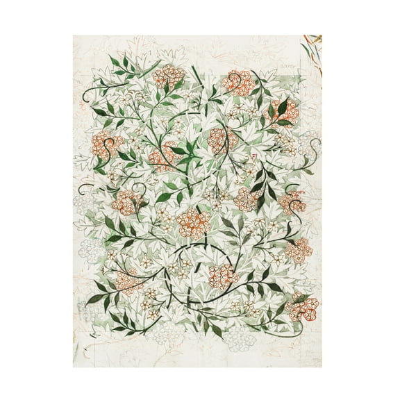 Trademark Fine Art William Morris  Wm Morris Floral Pattern Studies II Canvas Wall Art