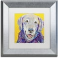 thumbnail image 1 of Trademark Fine Art "Willie" Canvas Art by Pat Saunders-White, White Matte, Silver Frame, 1 of 4