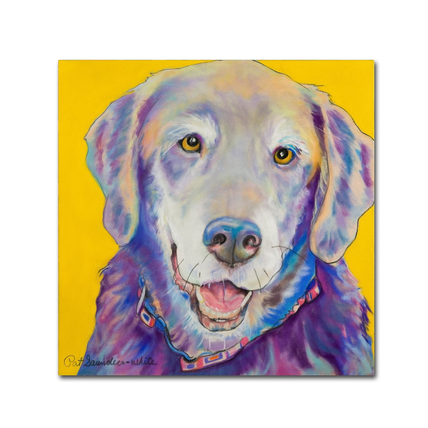 Trademark Fine Art "Willie" Canvas Art by Pat Saunders-White